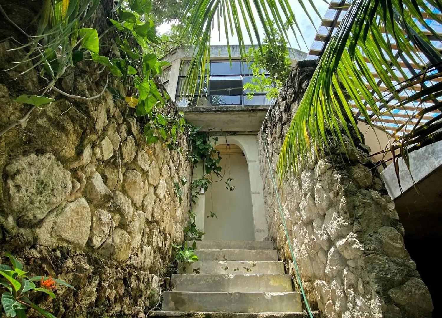 Elmar Hostel Bacalar